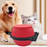 Furiva Foldable Dual Travel Pet Bowl - product image 3