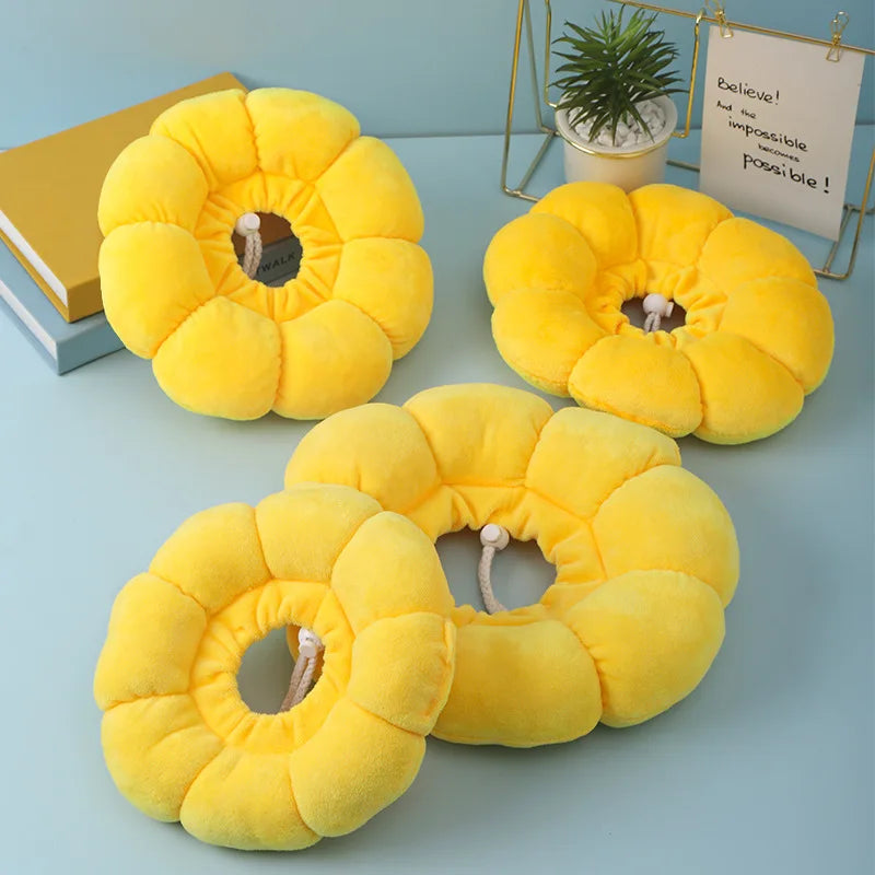 Four sizes of yellow padded sunflower recovery collar