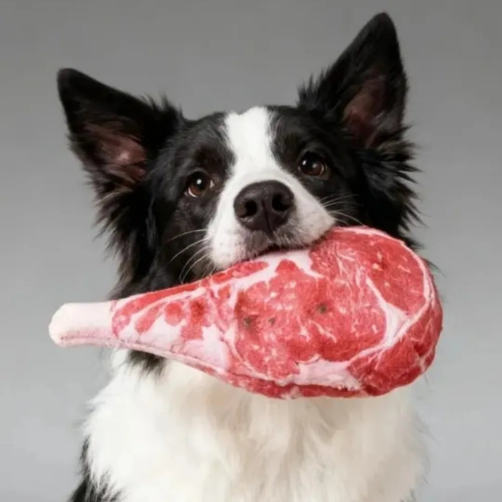 Furiva Steak-Shaped Dog Chew Toy - product image 3