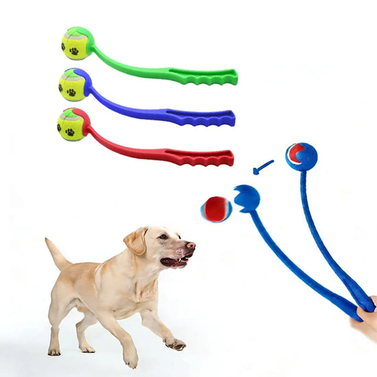 Furiva Tennis Ball Launcher Set from Furiva Pets