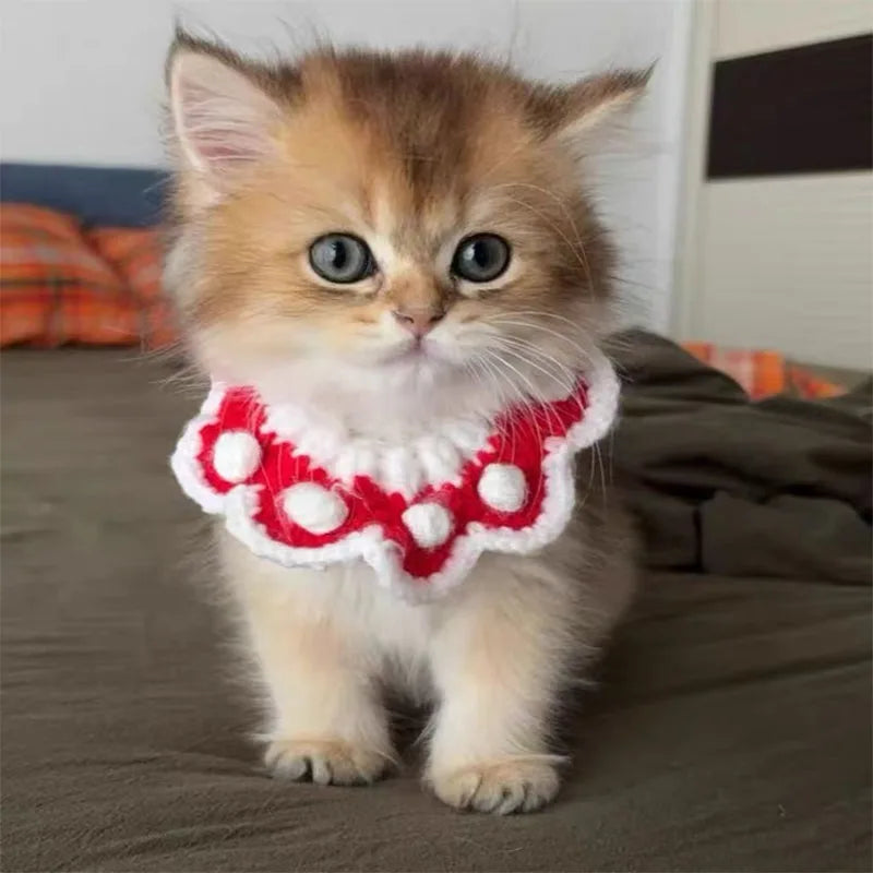 Furiva Knit Bow Christmas Pet Scarf - product image 4