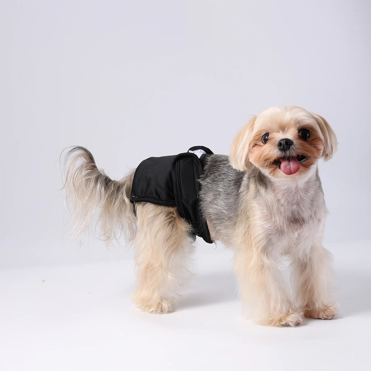 Furiva Washable Female Dog Diaper - product image 6