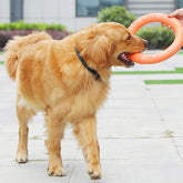 Furiva Dog Fetch & Tug Ring for Dogs - product image 4