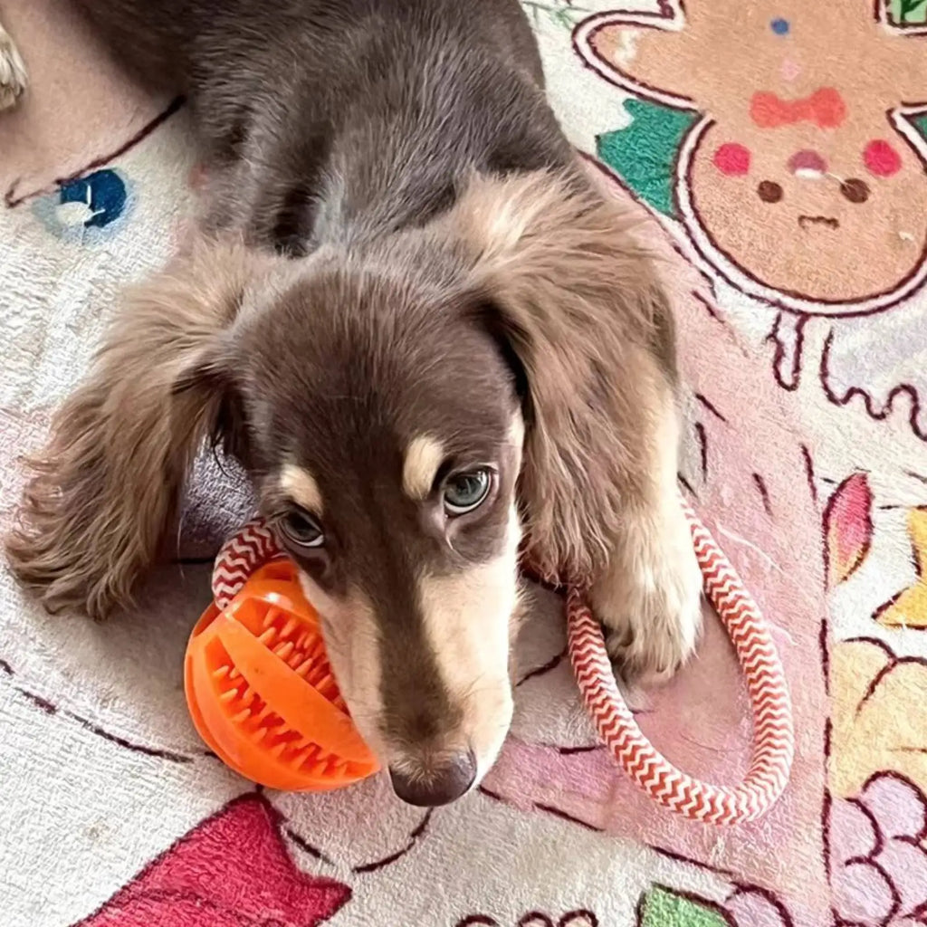 Furiva Treat-Dispensing Rope Ball Toy - product image 6