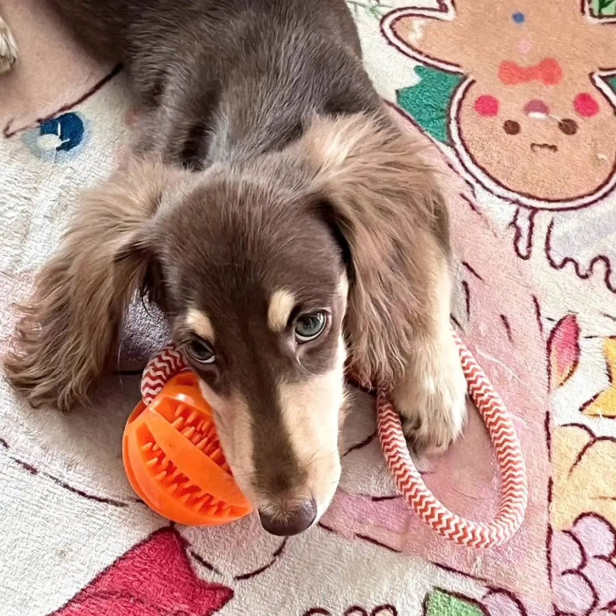Furiva Treat-Dispensing Rope Ball Toy - product image 6