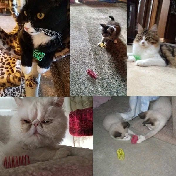 Cats playing with small plastic spring toys