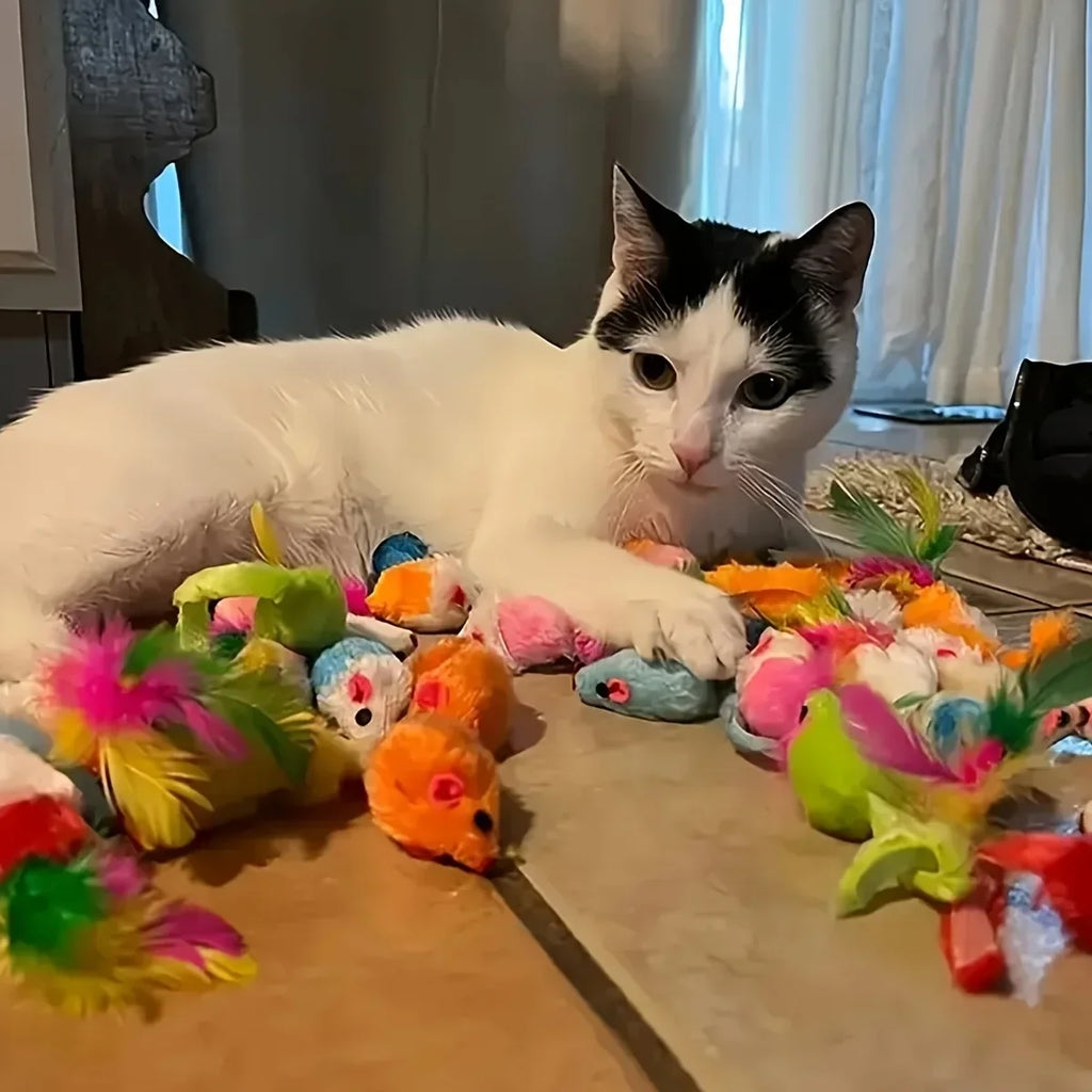 Cat beside an assortment of plush and plastic toys