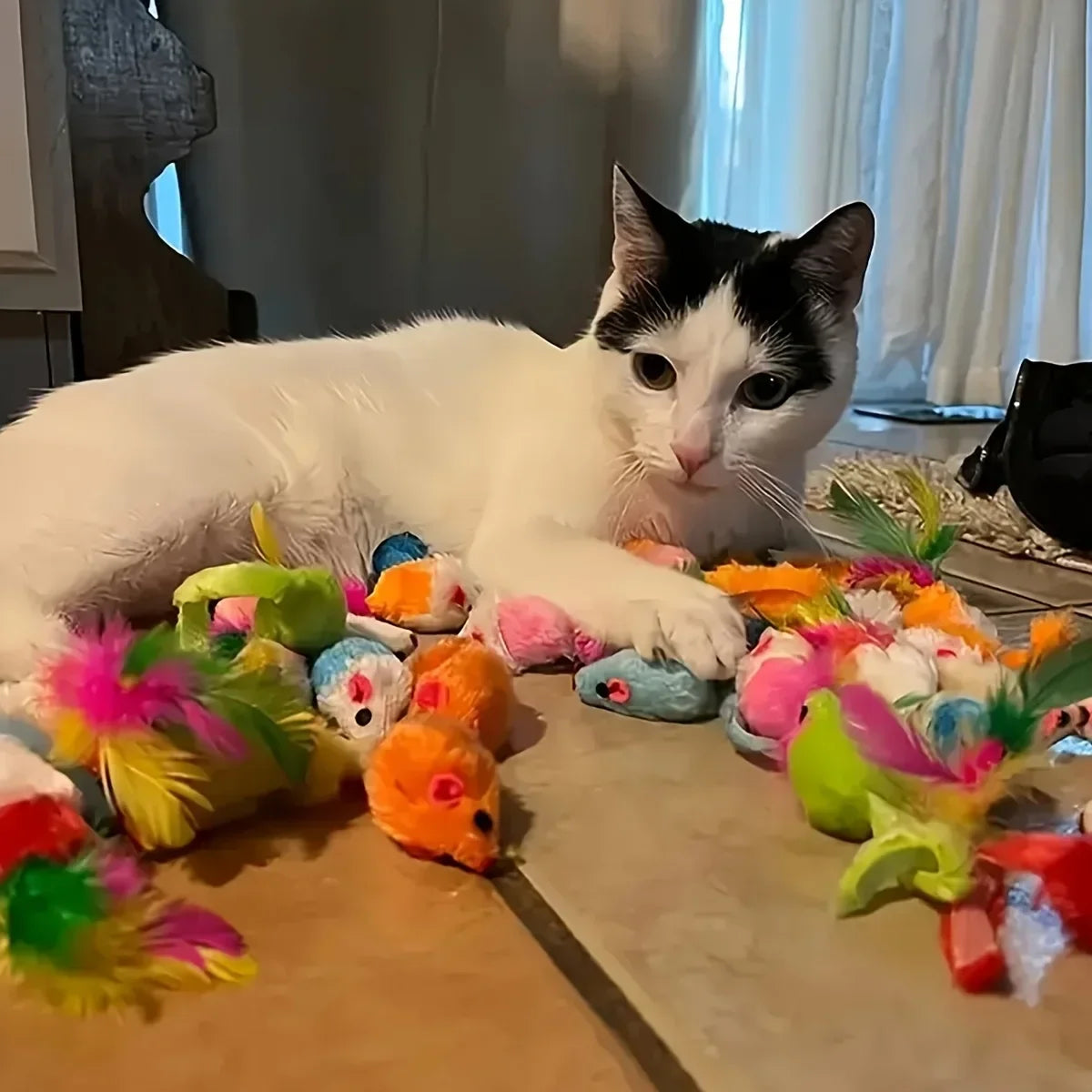 Furiva Mixed Cat Toy Variety Pack - product image 3