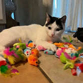 Furiva Mixed Cat Toy Variety Pack - product image 3