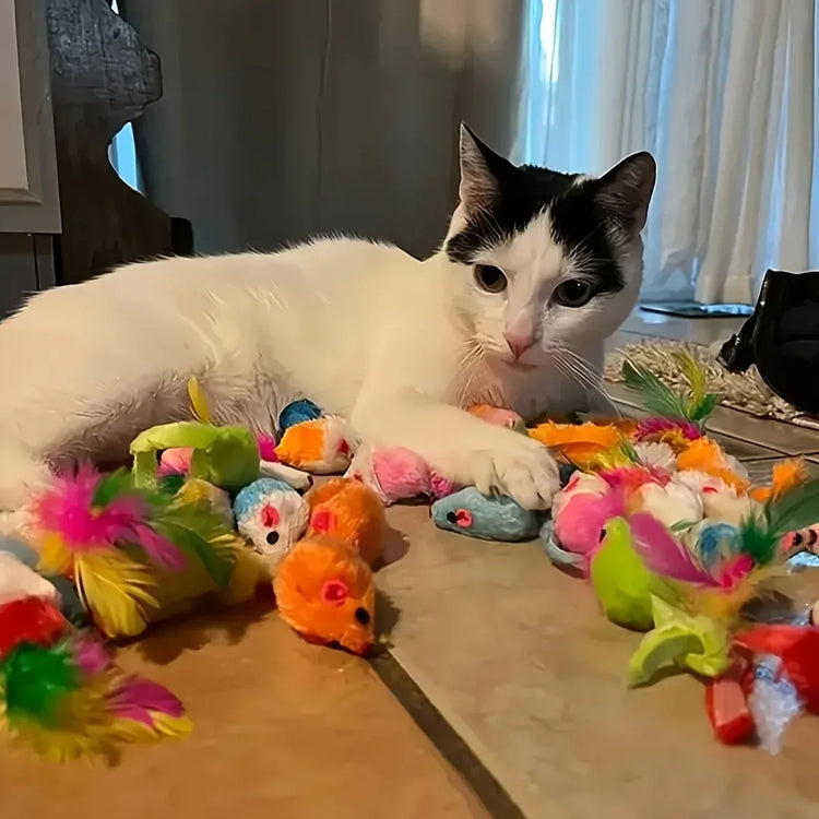 Furiva Mixed Cat Toy Variety Pack - product image 3