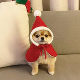 Furiva Santa Pet Cape & Hat for Dogs & Cats - product image 3