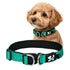 Furiva Comfort-Lined Reflective Dog Collar from Furiva Pets