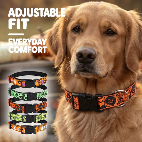 Furiva Halloween Pet Neck Scarf from Furiva Pets