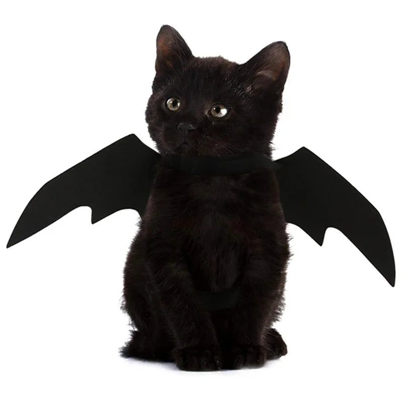 Furiva Black Bat Wings Pet Costume - product image 3