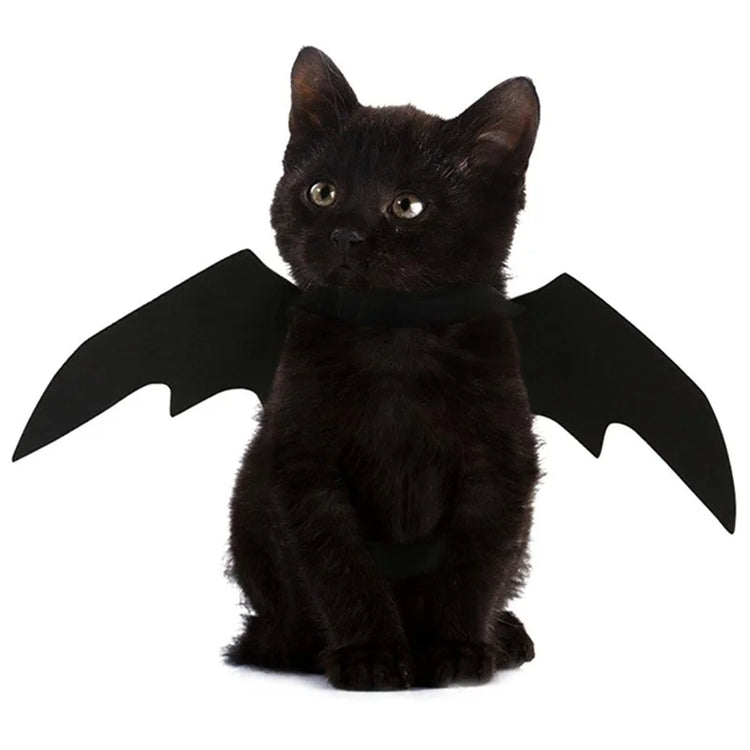 Furiva Black Bat Wings Pet Costume - product image 3